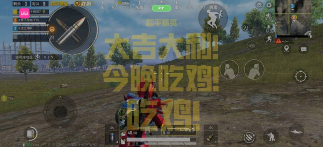 和平精英纯一体直装【青春】